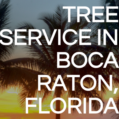 Tree Service Boca Raton